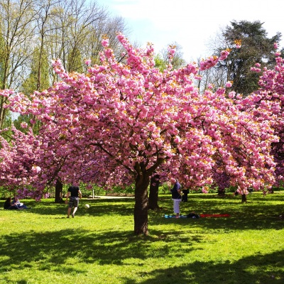 les-saisons - 1