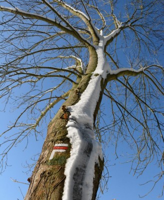 2018-02-07 Randonnée de semaine  plessis Paté sous la neige